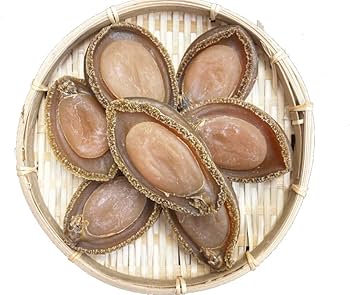 Amazon.co.jp: 千倉産 干鮑 干しアワビ 国産 干し あわび 250g